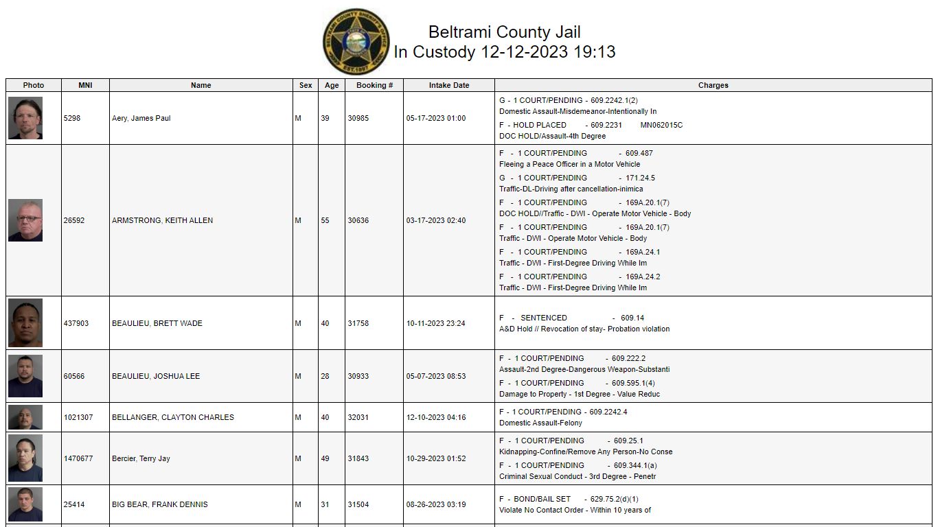 Custody - Beltrami County, Minnesota